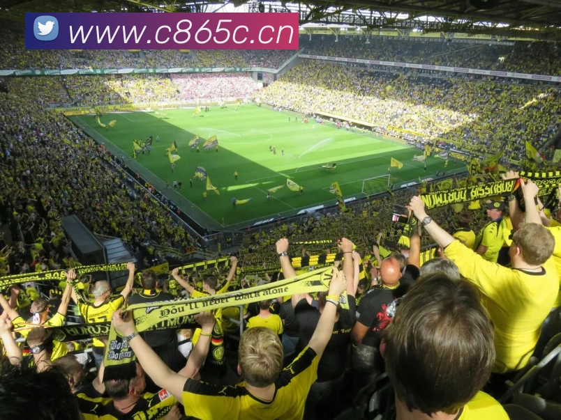 九游正版官网APP 高清赛事图